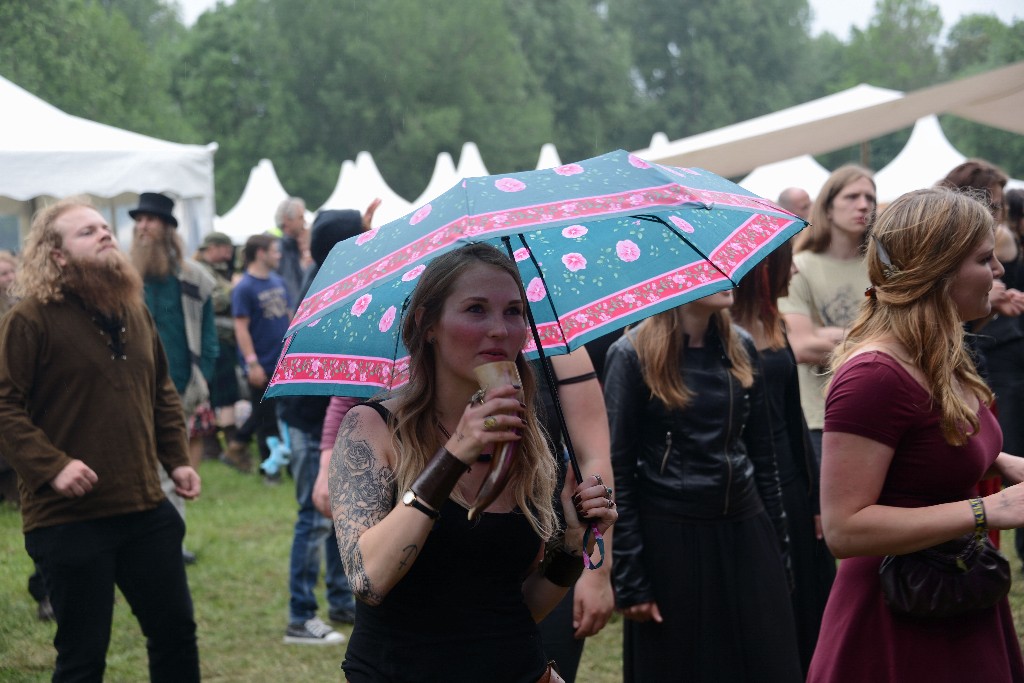 ../Images/Keltfest 2015 zondag 089.jpg